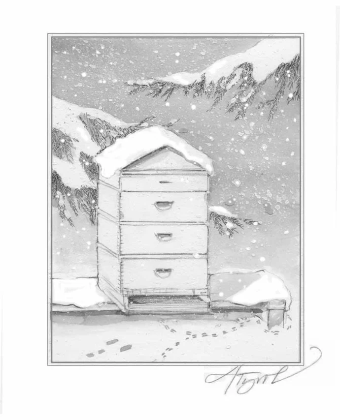 insects_in_winter800.jpg
