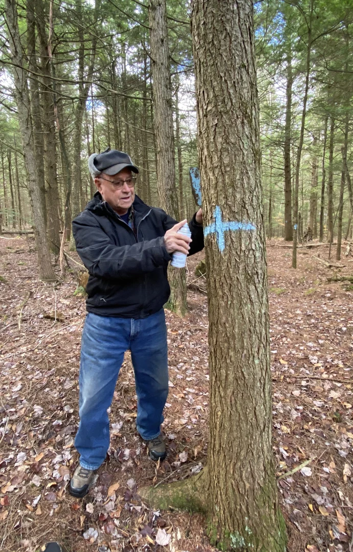 Trail marking