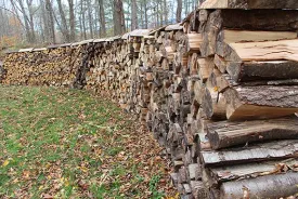 lead_firewood_blog_web.jpg thumbnail