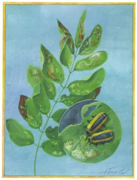 locust_leafminer.jpg thumbnail
