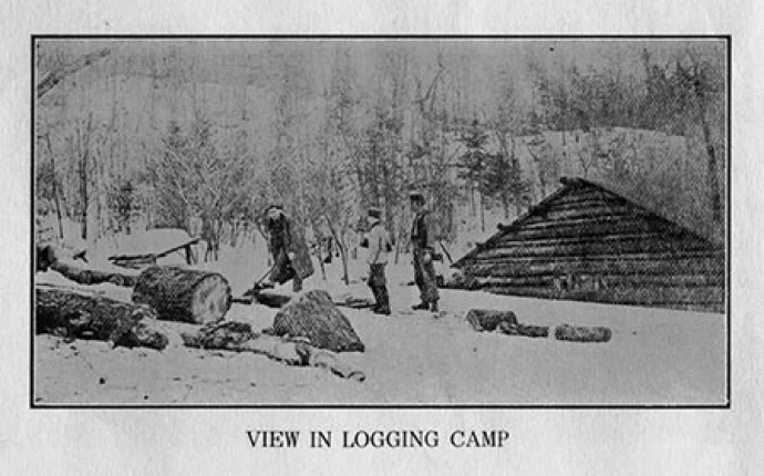 logger_year2.jpg