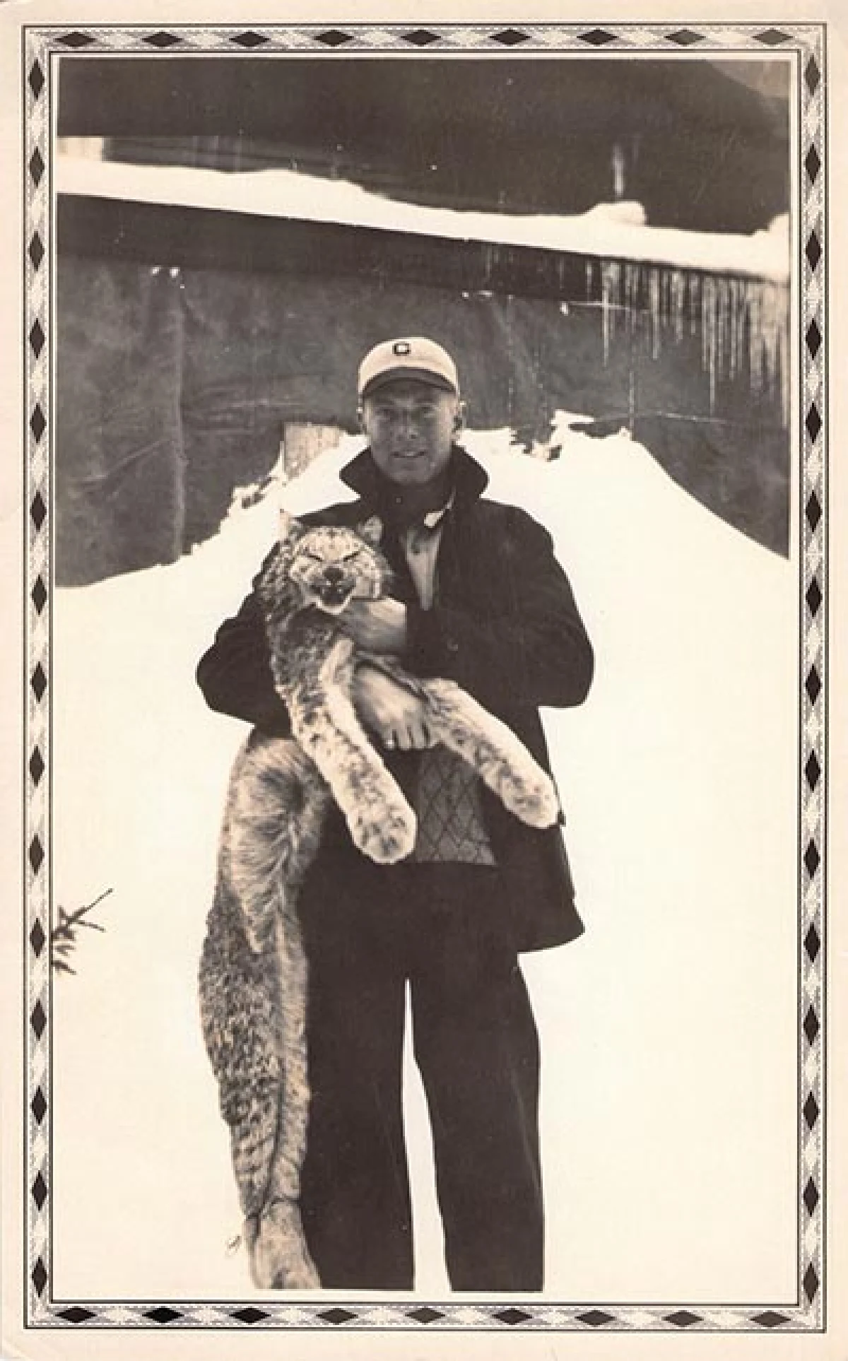 lynx_northern_forest_5.jpg