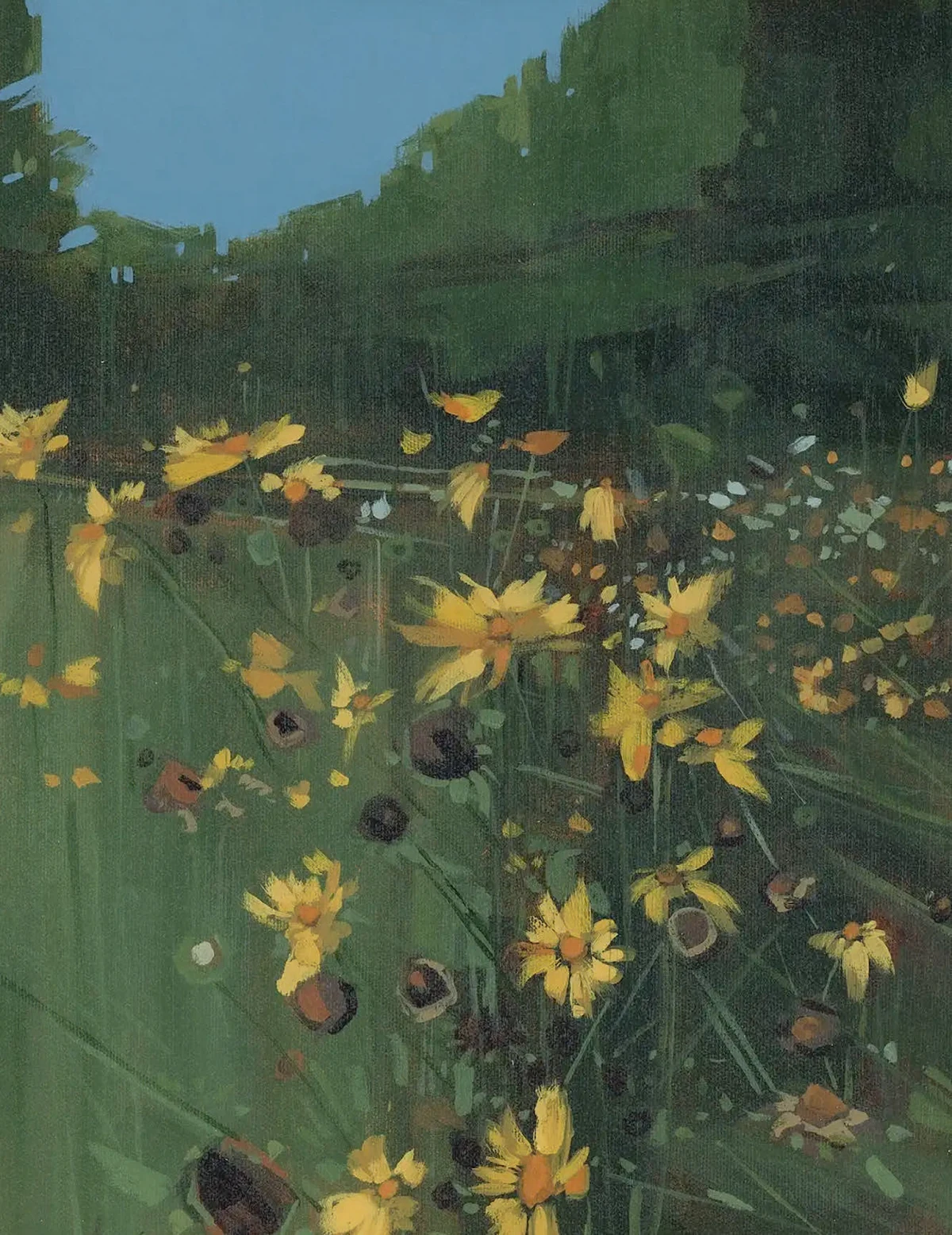 mabels-farm-field.jpg