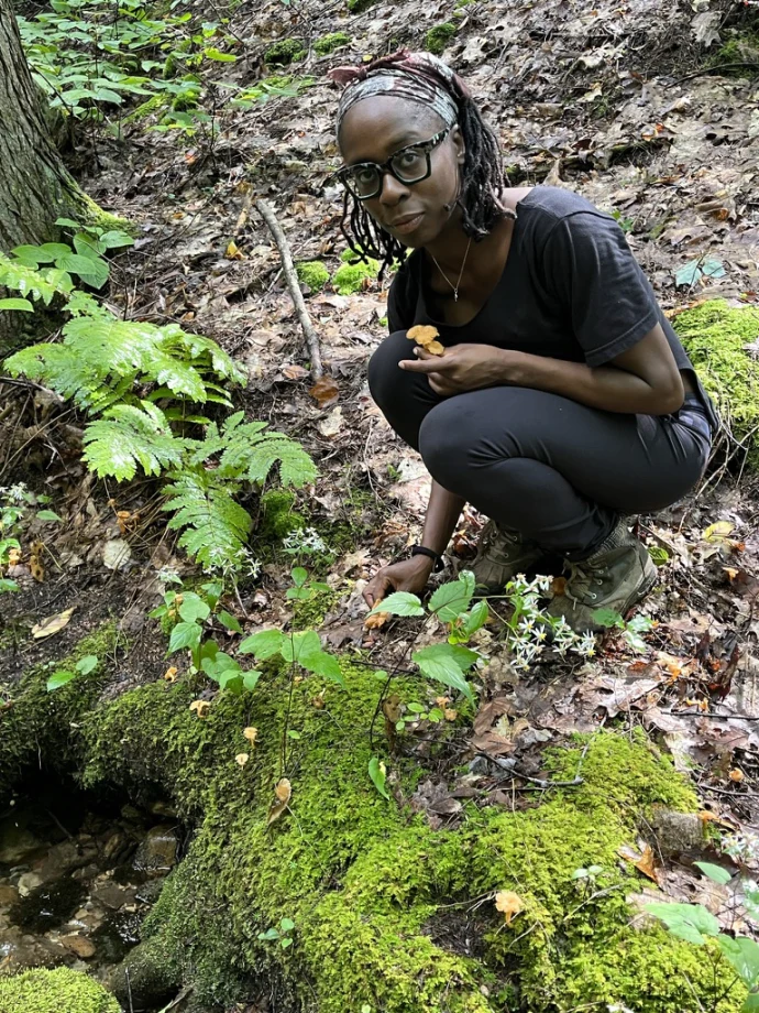 Picking mushrooms