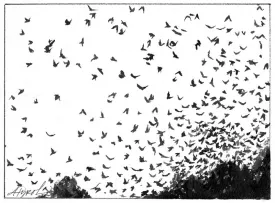 migration_web.jpg thumbnail