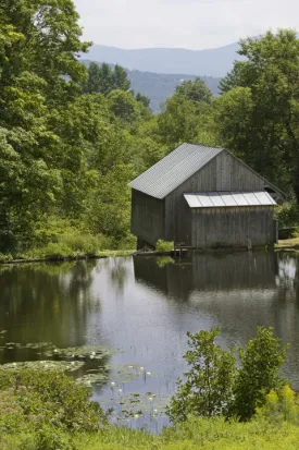 mill2.jpg thumbnail