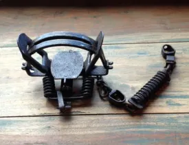 modern_coilspring.jpg thumbnail