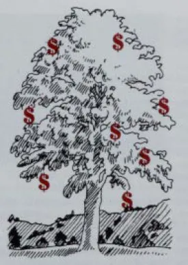 money.jpg thumbnail