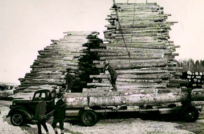 moosehead-stump-prices.jpg