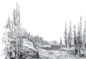muddle.jpg thumbnail