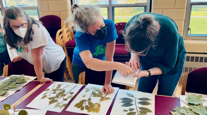naturalists_study_leaves.jpg
