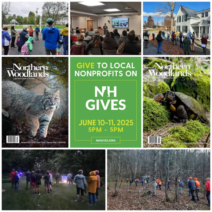 NH Gives