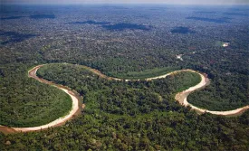 peruvian-forest-products1.jpg thumbnail
