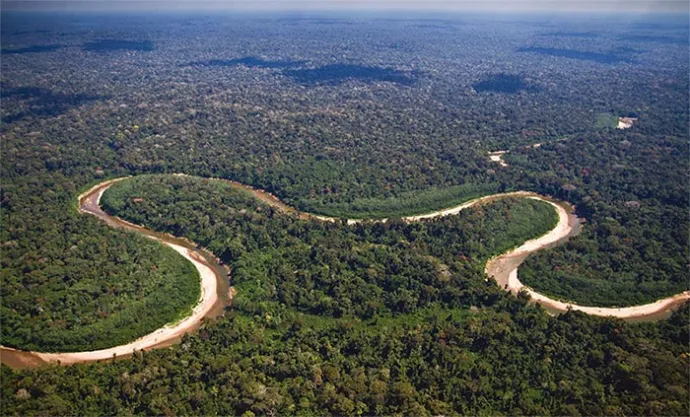 peruvian-forest-products1.jpg