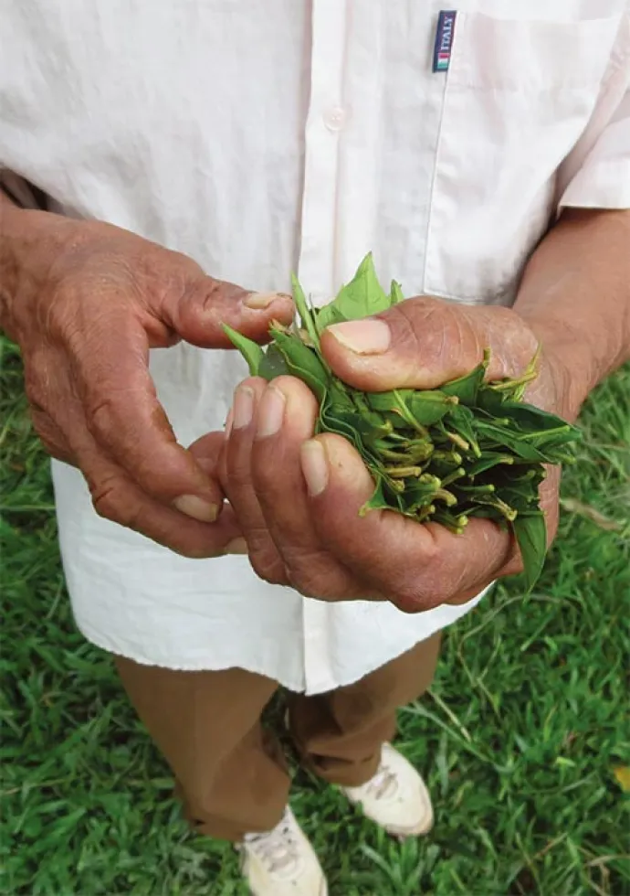 peruvian-forest-products3.jpg