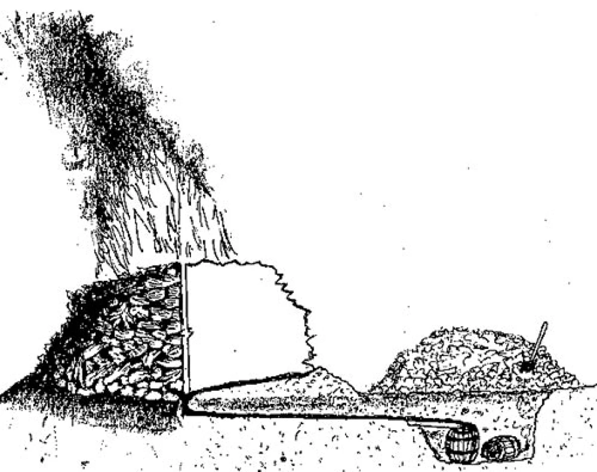 pine_barrens2.jpg
