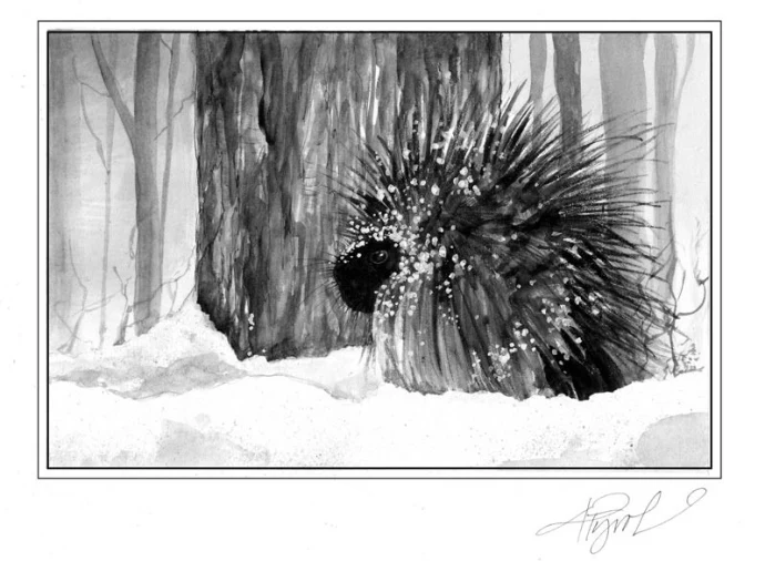 porcupinepix.jpg