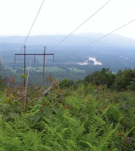powerlines_1.jpg thumbnail