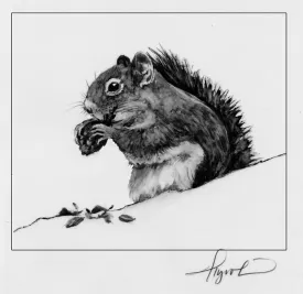 red_squirrel_w.jpg thumbnail