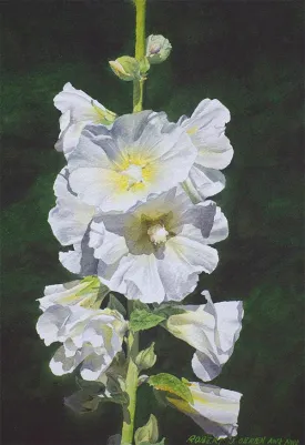 robert_obrien_artwork.jpg thumbnail