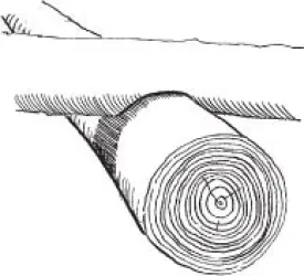 saddle3.jpg thumbnail