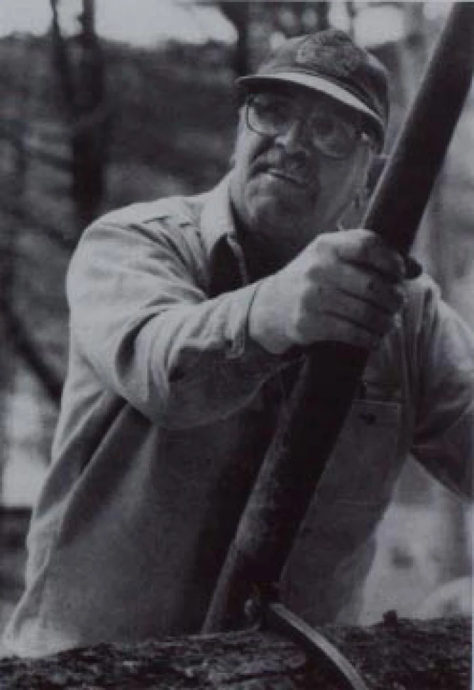 sawlog.jpg