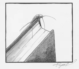 silverfish.jpg thumbnail