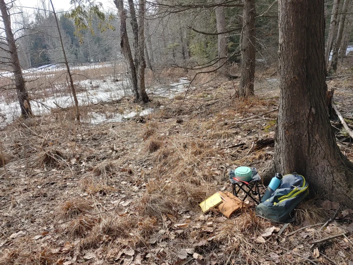 sit-spot-early-spring.jpg