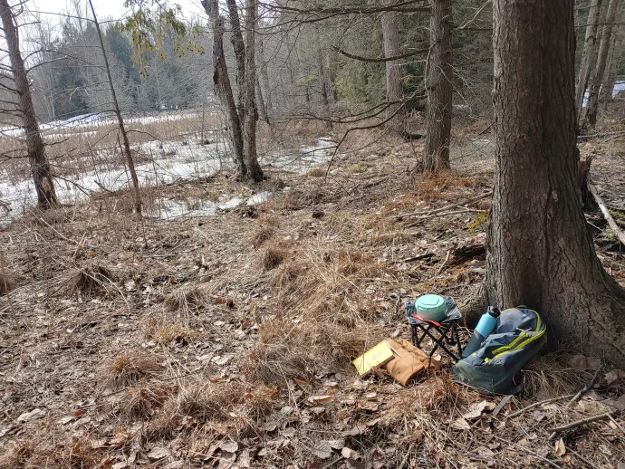 sit-spot-early-spring.jpg