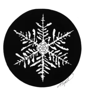snowflake.jpg thumbnail