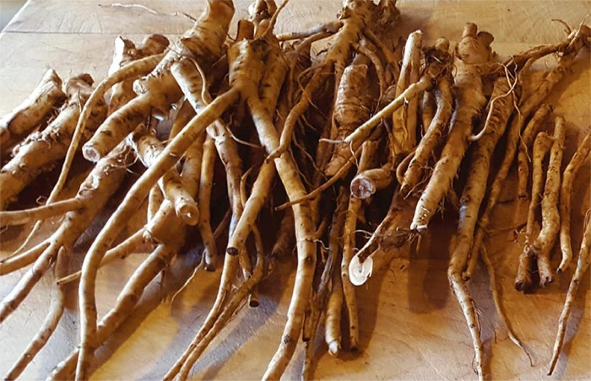 spr_herbs2.jpg