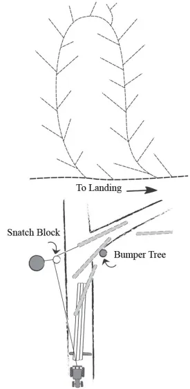 stump1_FINAL_UPDATE.jpg thumbnail