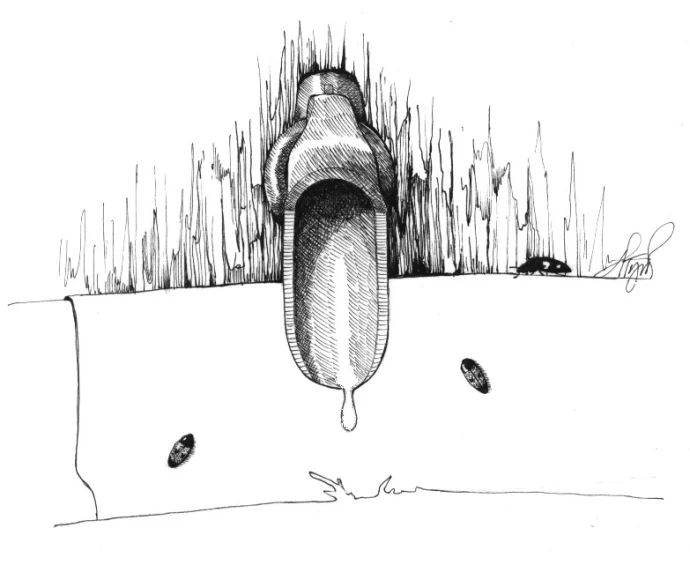 sugaring_bugs.jpg