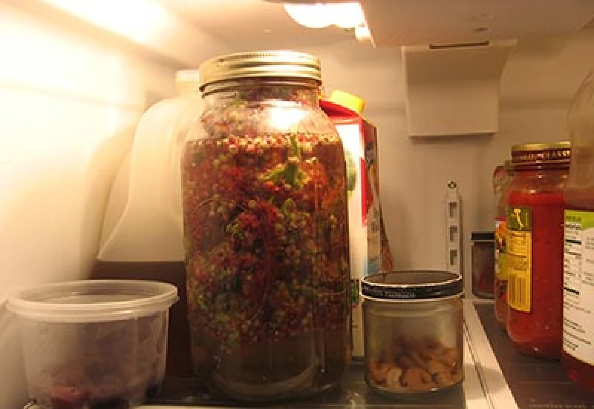 sumac-refrigerator-lord2.jpg