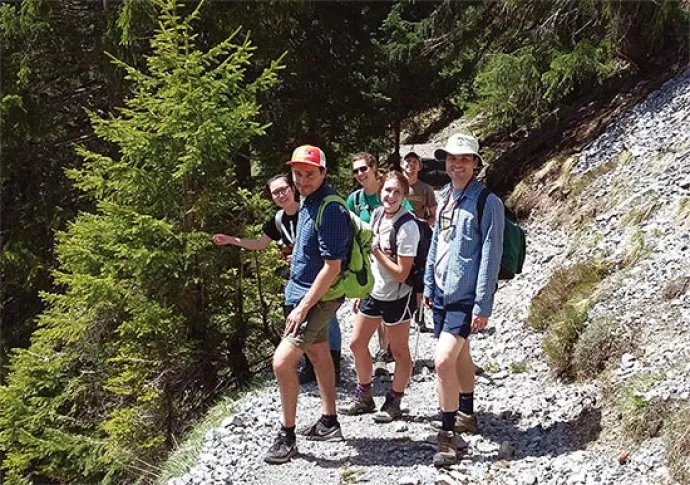 swiss_forest3_knot_aut18.jpg