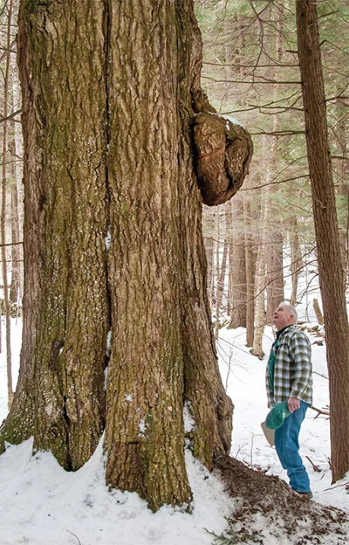 tall.jpg