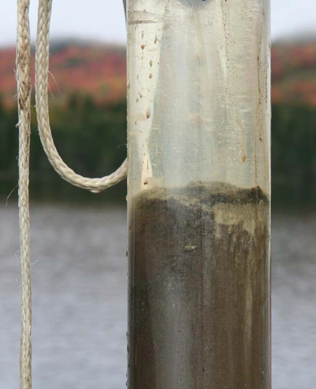 Sediment