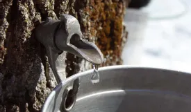 tap_hole.jpg thumbnail