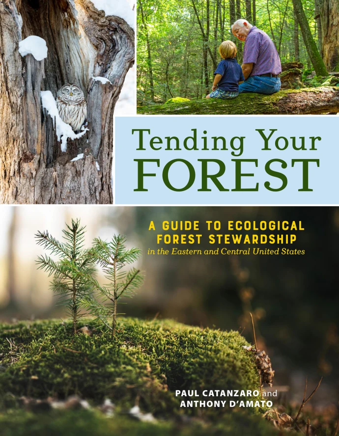 Tending your forest