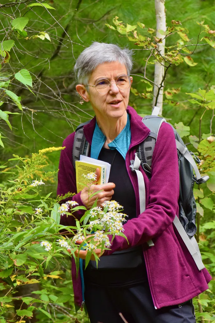 thompson-forest-teaching.jpg