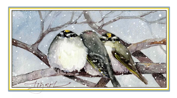 Golden crowned kinglet