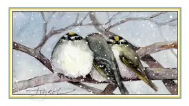 Golden crowned kinglet thumbnail