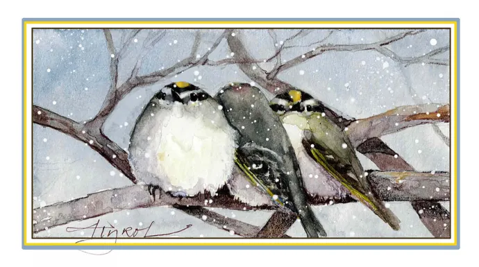 Golden crowned kinglet