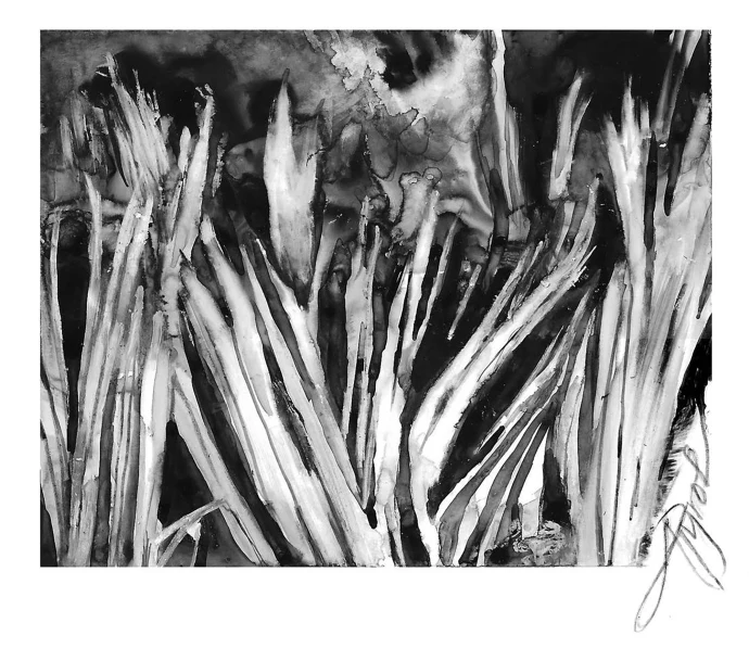 Needle ice