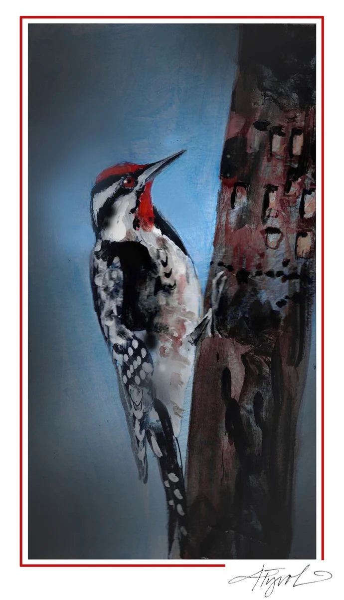 Sapsucker