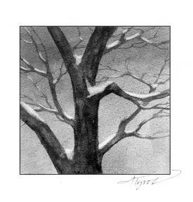tree_dormancy_2.jpg thumbnail