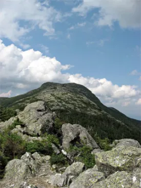 treeline.jpg thumbnail