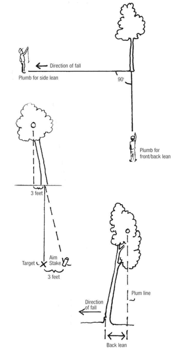 tricksAUT08.jpg