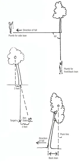 tricksAUT08.jpg thumbnail