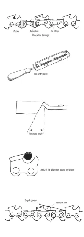tricks.jpg thumbnail